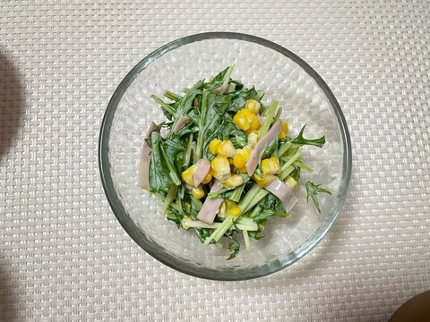 シャキシャキ水菜のコールスロー風サラダ